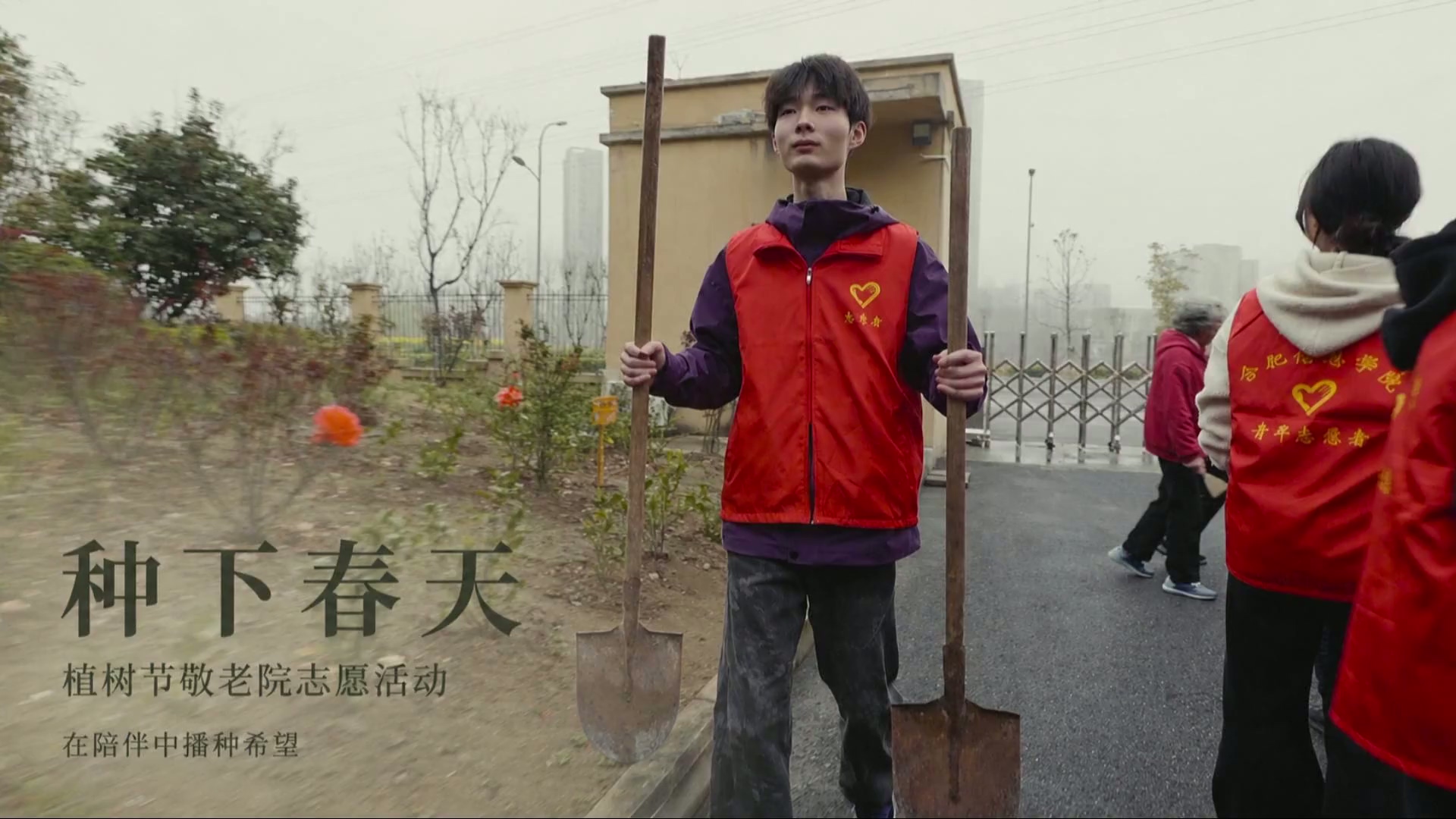 种下春天作品